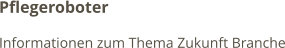 Pflegeroboter Informationen zum Thema Zukunft Branche