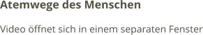 Atemwege des Menschen Video öffnet sich in einem separaten Fenster